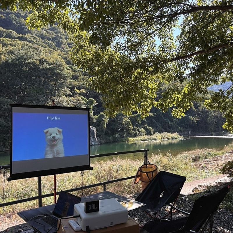 밀양 애견동반 캠핑장 사이트 추천 [알프스캠핑장] , 쿠팡...