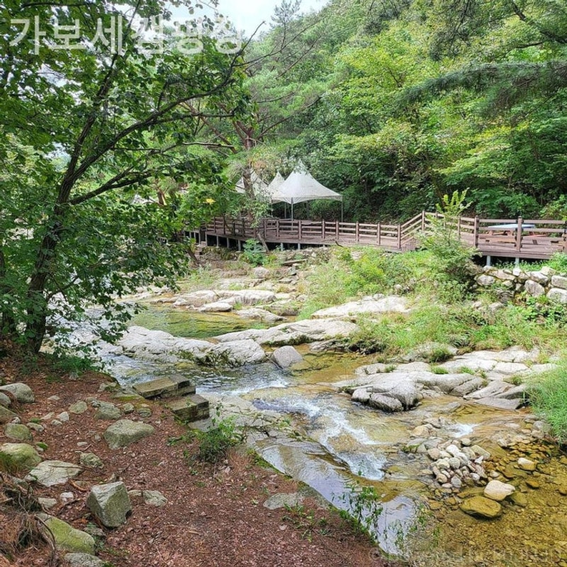 포천캠핑장 가보세캠핑장 휴가철 위치 추천