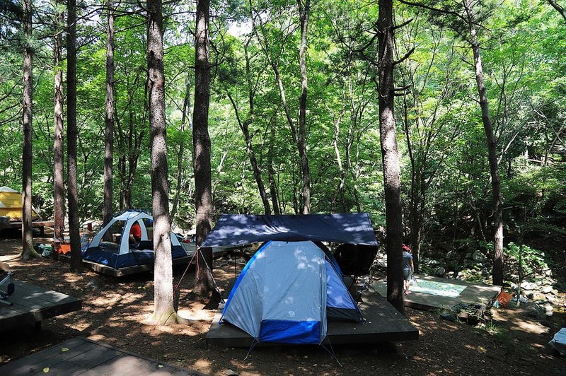 국립용대자연휴양림 시설 사진 12