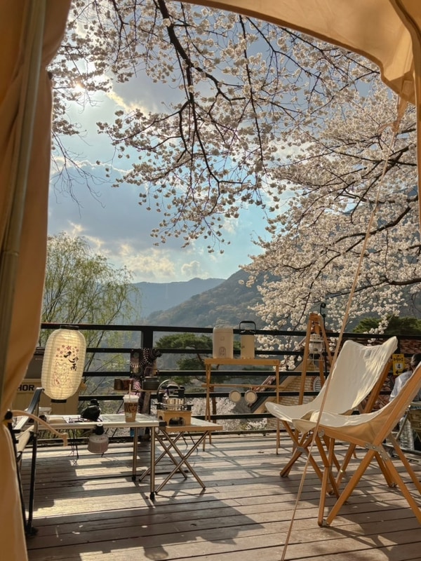 밀양미르오토캠핑장 벚꽃캠핑 하늘데크 5번 명당사이트 추천