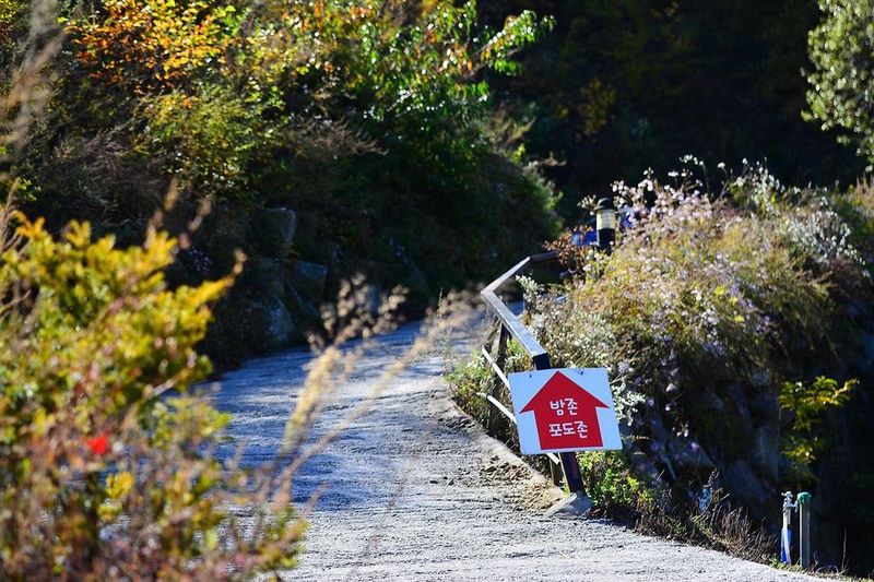 가평 사과나무 캠핑장 시설 사진 18
