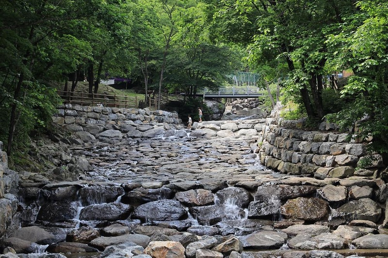 강원도산림개발연구원 집다리골자연휴양림 시설 사진 1