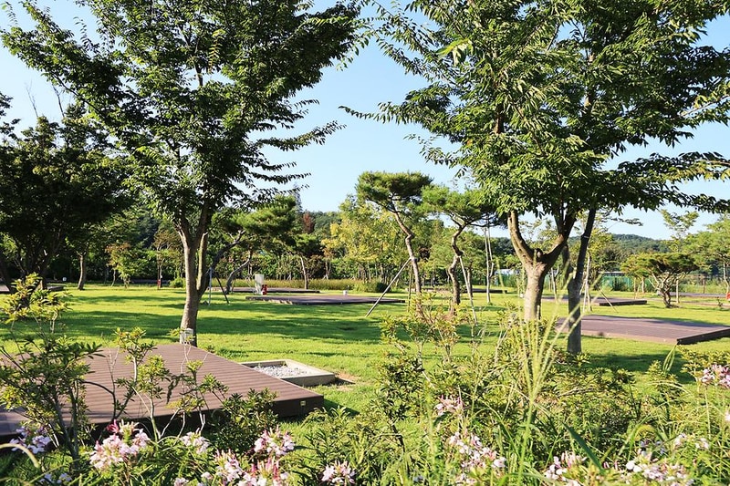 342 camp 시설 사진 4