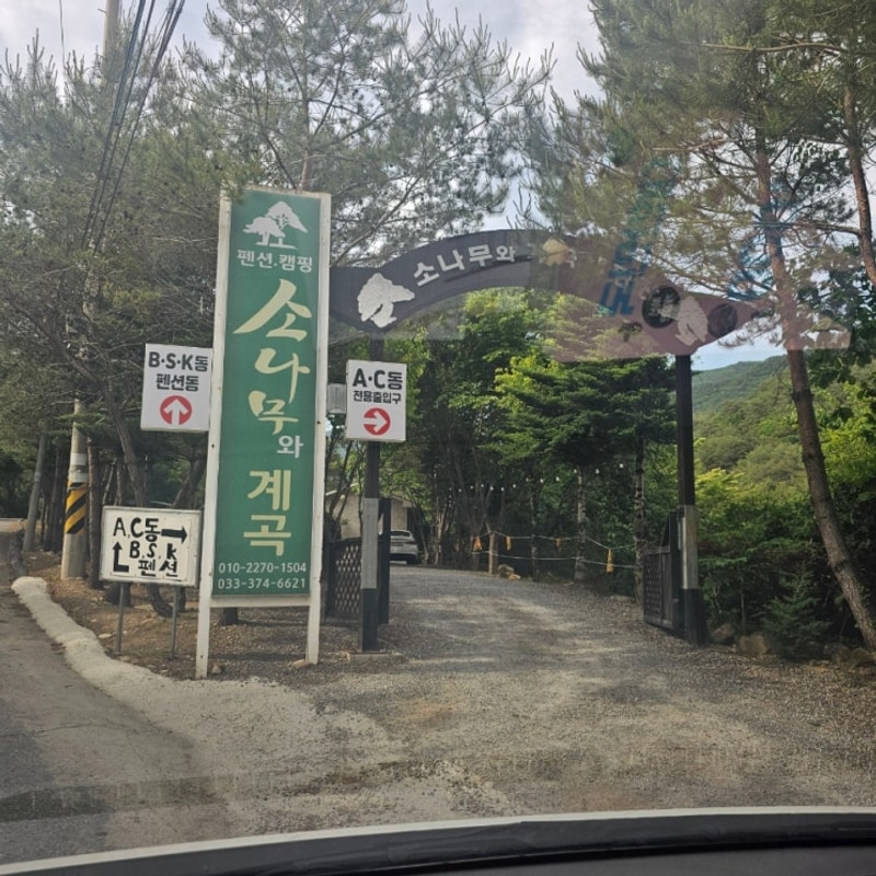 영월 소나무와계곡 캠핑장. 무릉도원이구나! 끝내주는 계곡과...