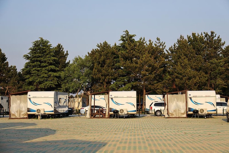 솔향강릉오토캠핑장 시설 사진 18