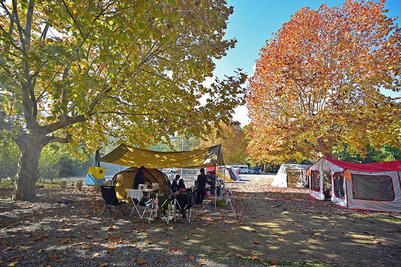 꾸러기 캠핑장 대표 사진