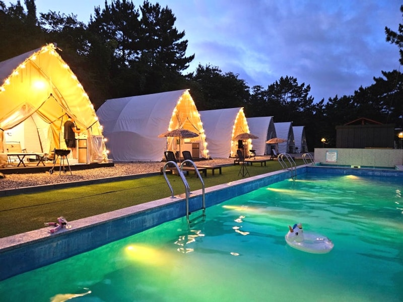 영덕 강구항 오션뷰 숙소 스페이스 영덕 | 반려견 동반 글램핑...