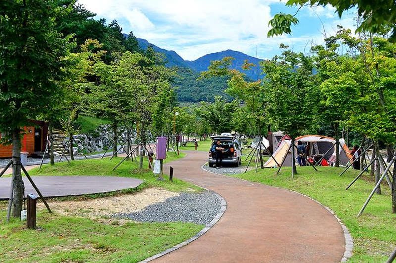작천정 별빛야영장 대표 사진