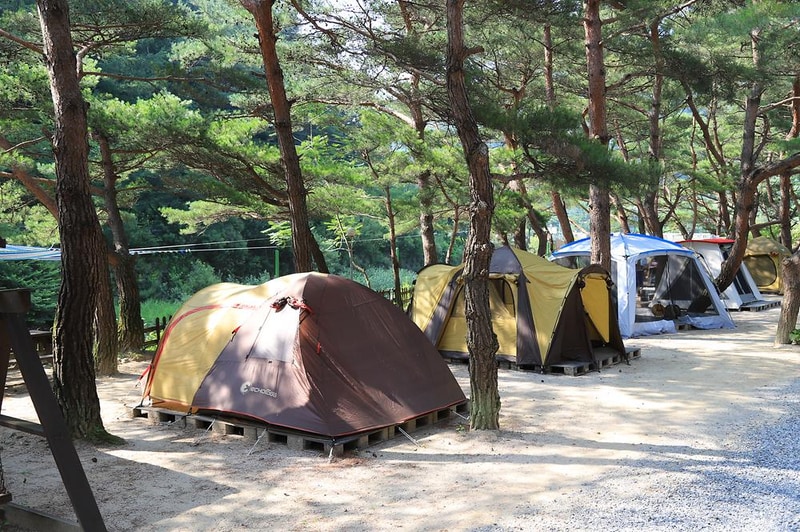 엄둔솔밭빌리지 시설 사진 2