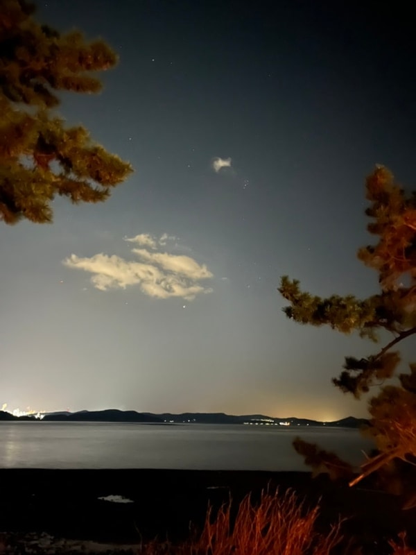 캠프일지 | 또 오션뷰 캠핑장 !️ 서산 벌천포캠핑장 D구역 후기