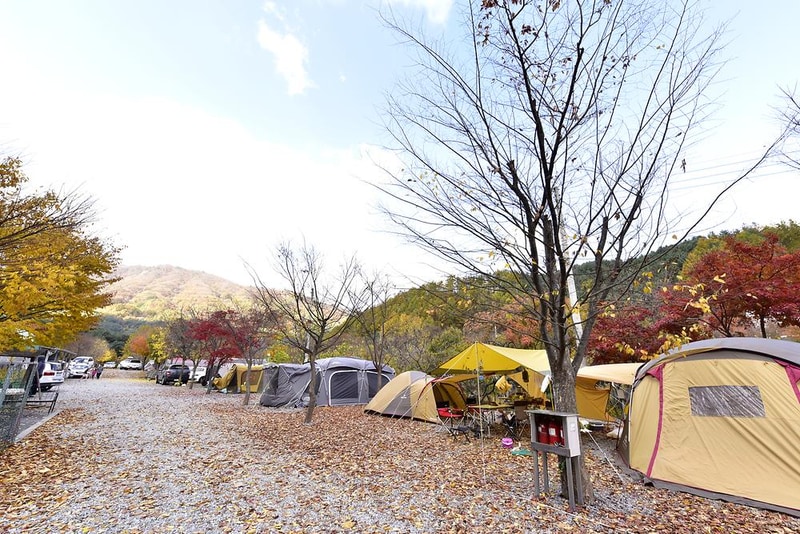 늘푸른쉼터 시설 사진 18