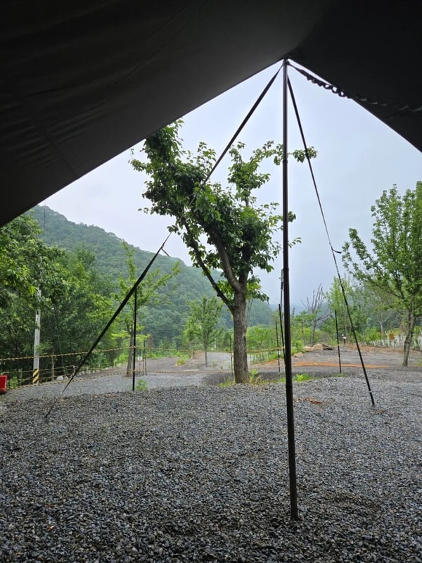 깨끗한 신상 개인샤워실 캠핑장, 홍천 오도치 캠핑장