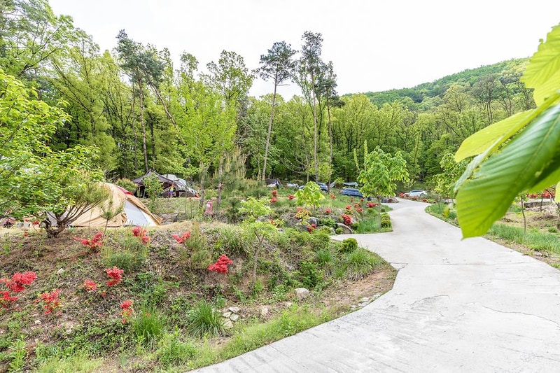 마로니에숲 캠핑장 시설 사진 7