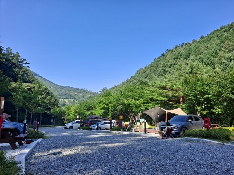 태백고원자연휴양림 자동차야영장