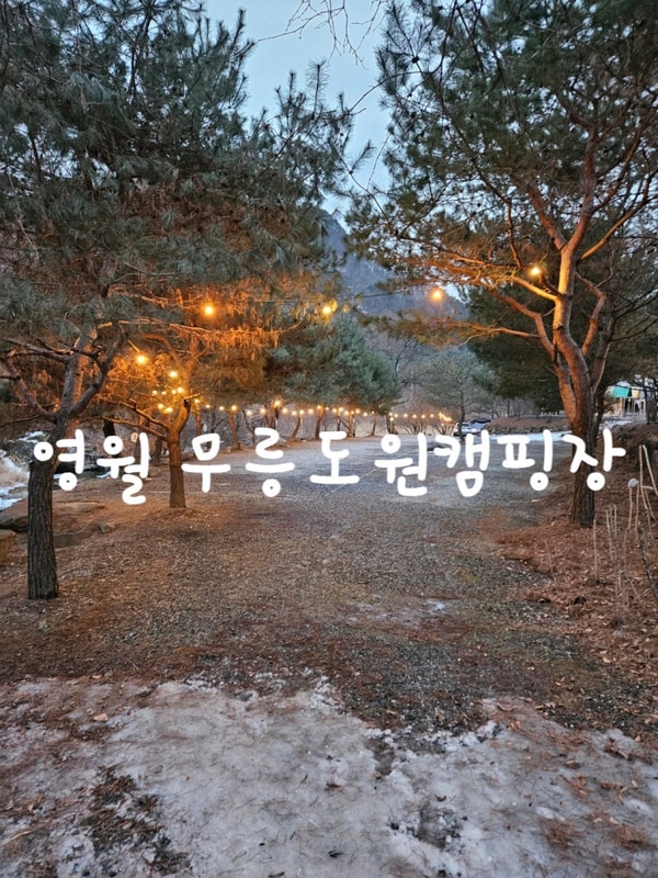 [강원도 영월 캠핑장] 타프존, 계곡 캠핑장 무릉도원캠핑장