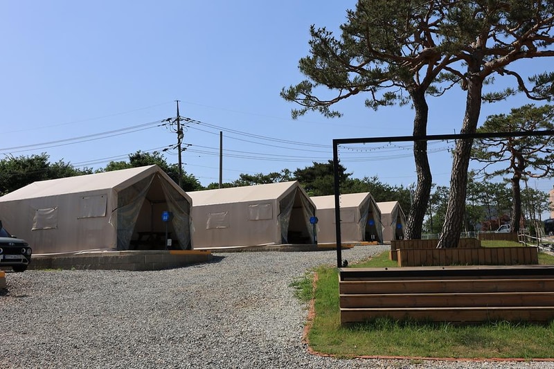 안석관광농원 시설 사진 6