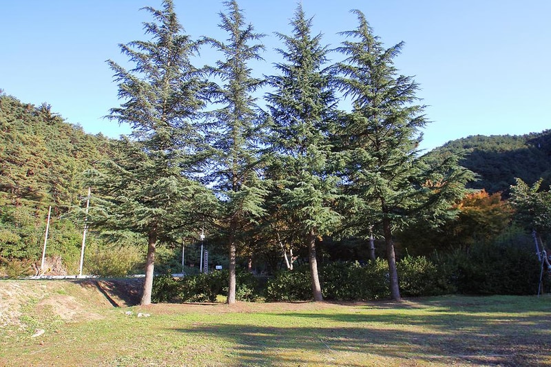 위정캠핑장 시설 사진 8