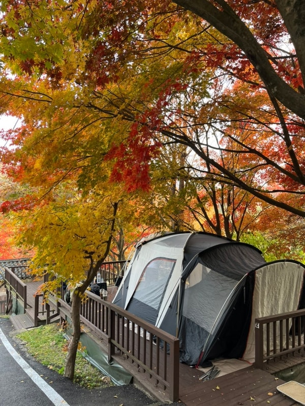 11월 캠핑 : 동두천 벨라캠핑장