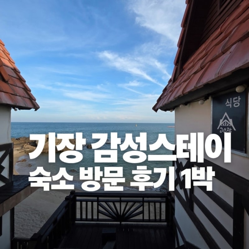 부산 기장 더무빙카라반 감성스테이 후기 | 웨이브온 카페...