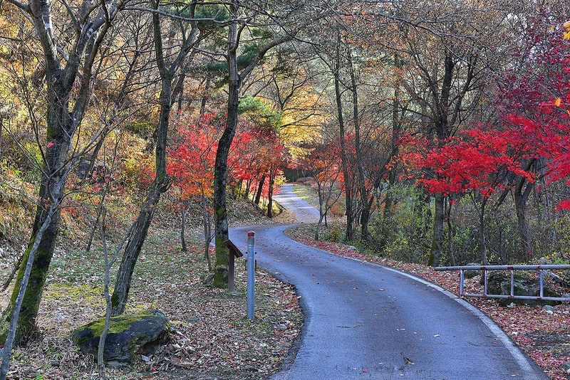 박달재 자연휴양림캠핑장 시설 사진 13