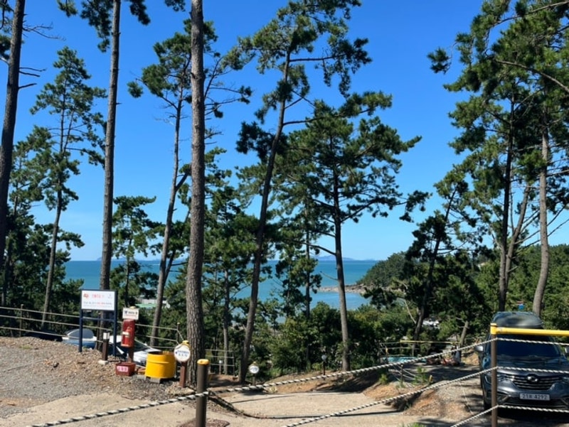 [태안 둘레길캠핑장]반려견 J 존 후기 및 명당 추천