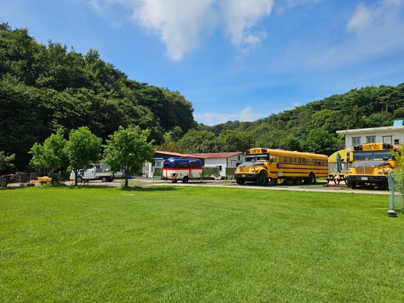 태안캠핑장 유니크한 휴식 안면도스쿨버스캠핑장