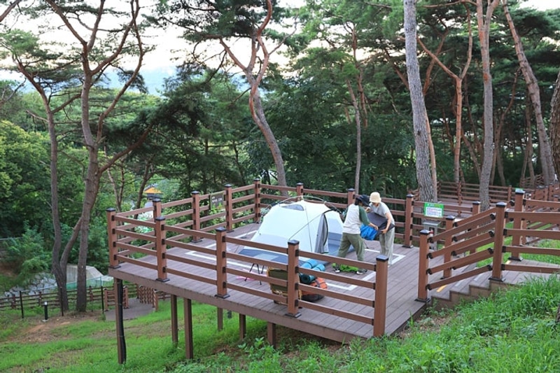 교룡공원 숲속야영장/백두대간 트리하우스 [ 2025. 8. 14...