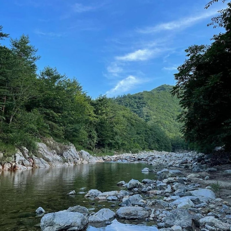 우리들캠핑장 시설 사진 20