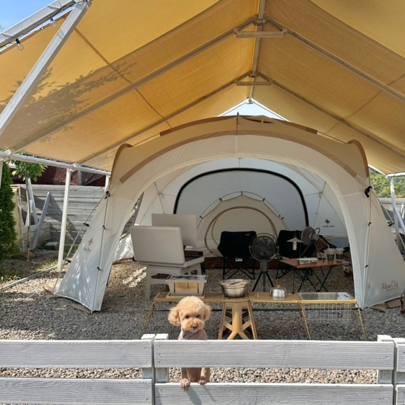 [가평 나아정캠핑장] 타프존 5번 사이트 애견동반 노키즈 계곡...