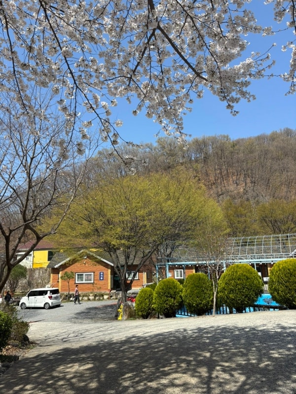 ➀ 밀양표충오토캠핑장 / 경남... 아이랑 부산근교 캠핑장