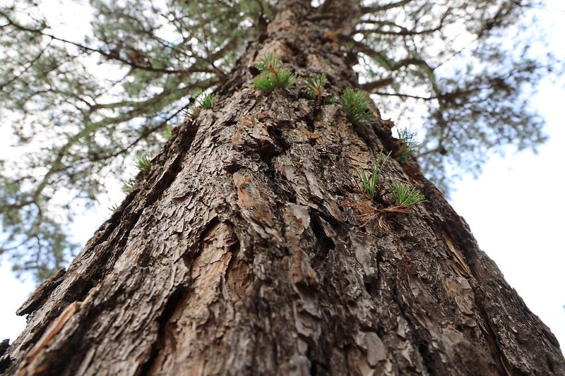 물왕숲캠핑파크 시설 사진 28