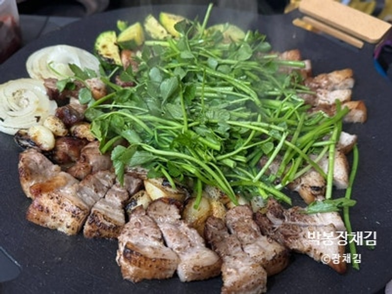 3월의 장채김_별숲캠핑장, 정희, 세시셀라, 미륵대흥사...