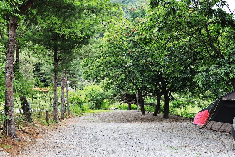 별천지야영장 시설 사진 12