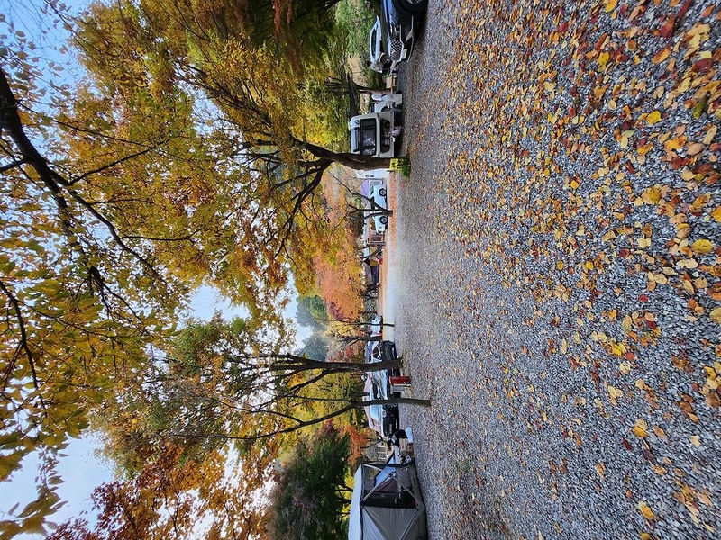 별빛오토캠핑장 시설 사진 1