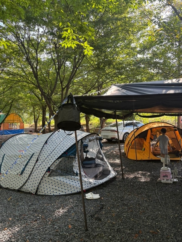 [Camp 9] 청도 수영장 있는 캠핑장 <별빛마을 펜션캠핑장...