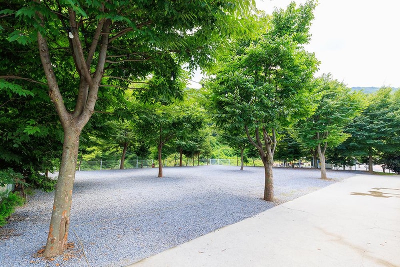 도둑골 신규 시설 사진 12