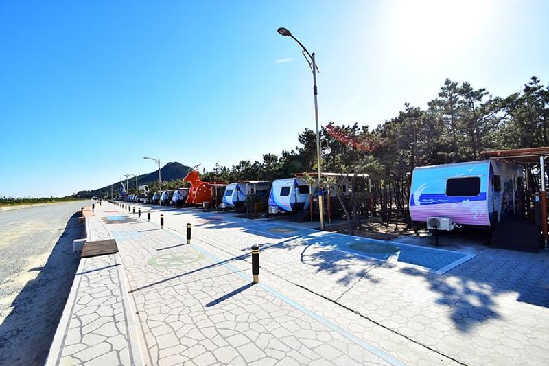 영덕 고래불 국민 야영장 대표 사진