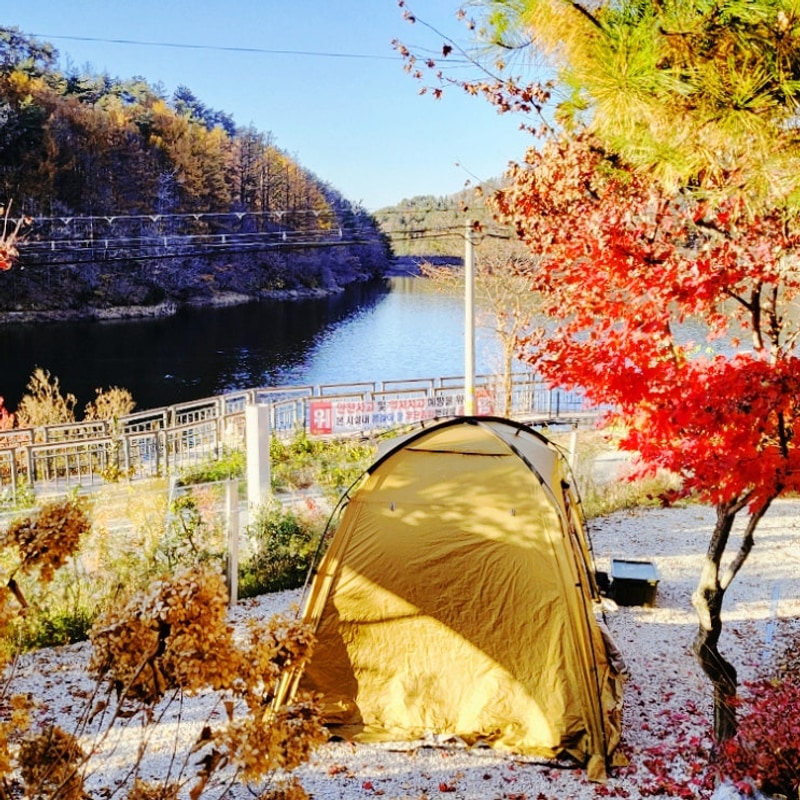 경기도 포천 캠핑장 청계호수 자작나무숲 캠핑장 0번 솔캠 명당