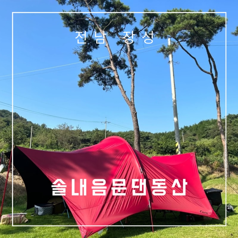 전남 장성 소나무 숲 아래... 켠 캠핑장 "솔내음물댄동산" A1번...