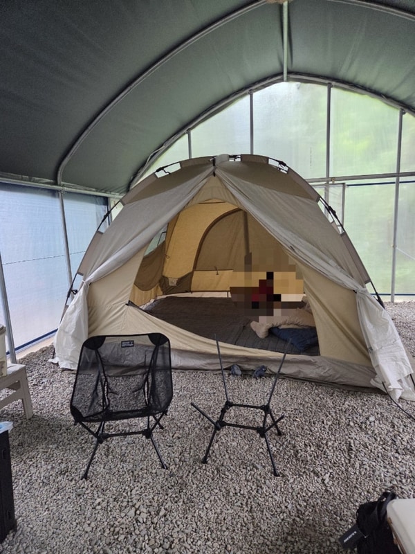 캠핑생활, 여름 키즈캠핑장 추천_영월느티나무캠핑장