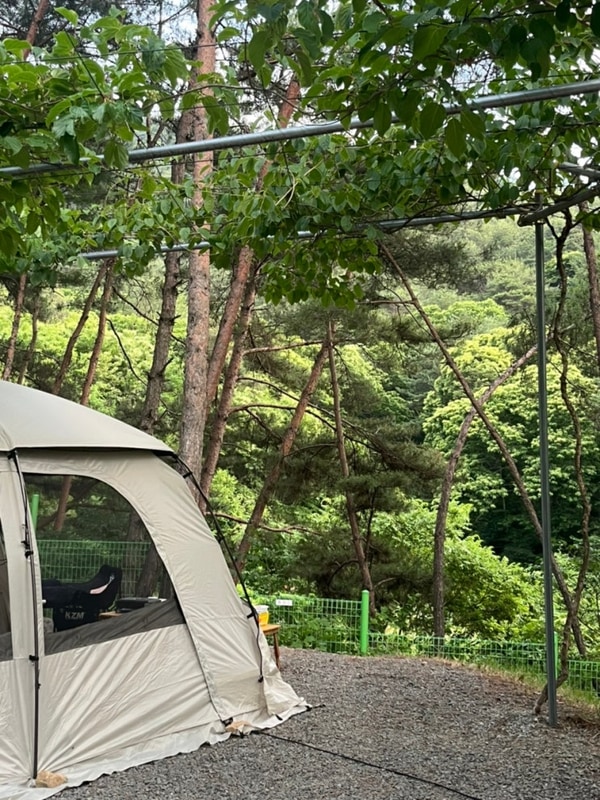 합천 수피아캠핑 명당 P3 내돈내산 후기