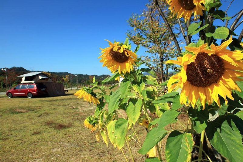 약수골캠프촌 오토캠핑장 시설 사진 4