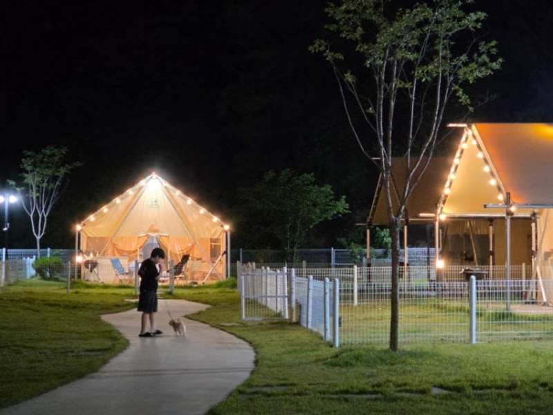 경북 칠곡 캠핑장 애견 동반 가능한 왜관 하이스트 글램핑장...