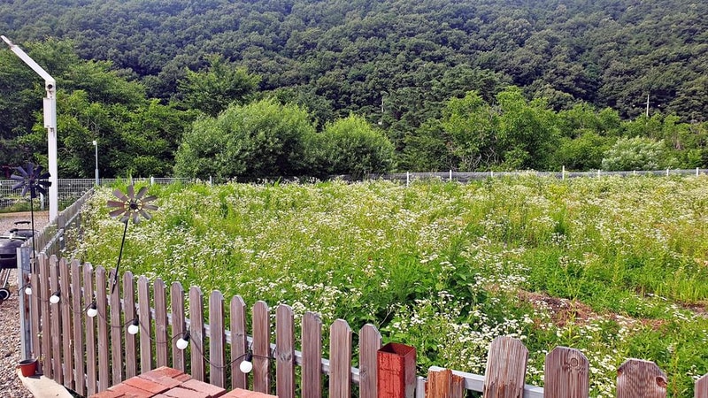 천안 디디글램핑 시설 사진 3