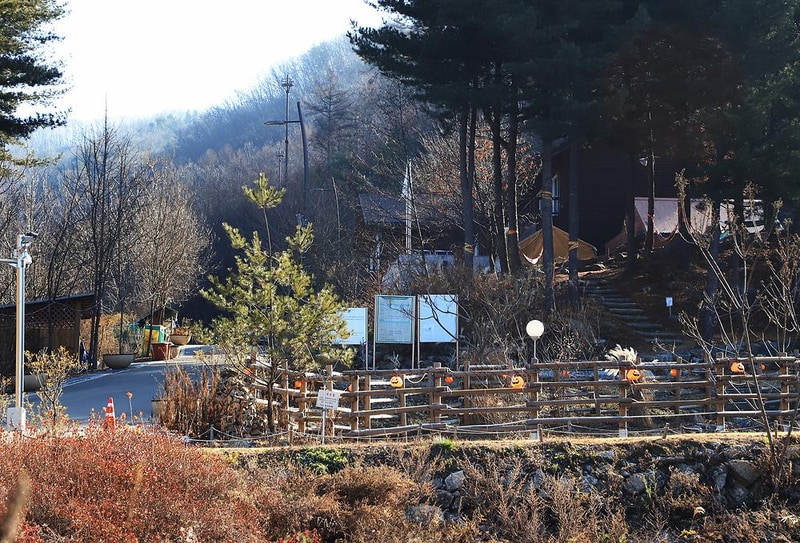 춘천숲자연휴양림엔글램핑 시설 사진 7