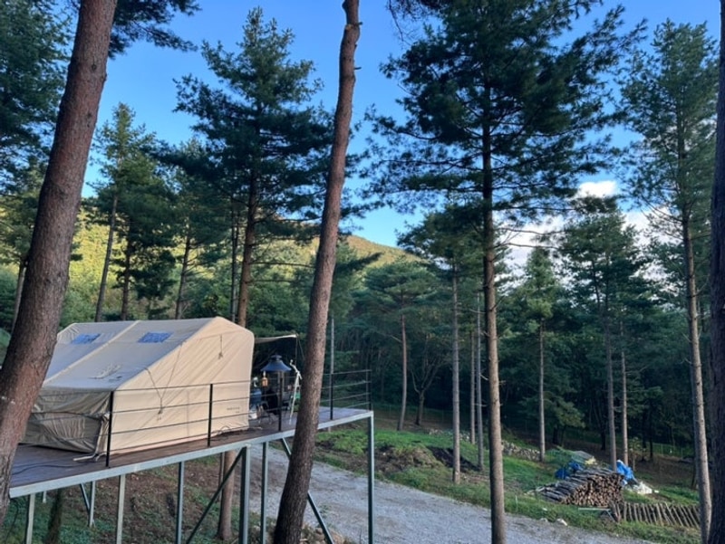 [영월 신생캠핑장]산골도깨비캠핑장후기️애견동반가능