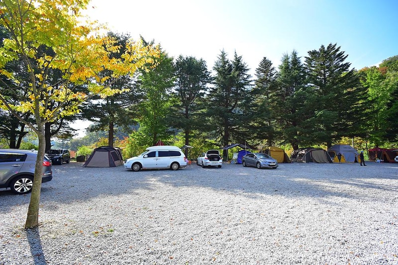 달빛고운병곡캠핑장 시설 사진 10