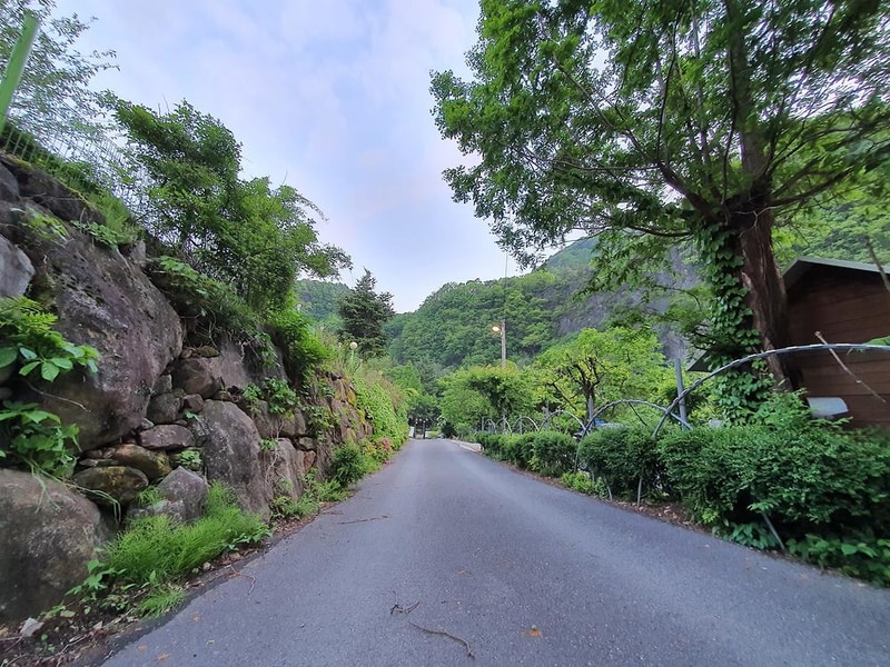 단양 천동계곡 캠핑장 그린농원 시설 사진 17