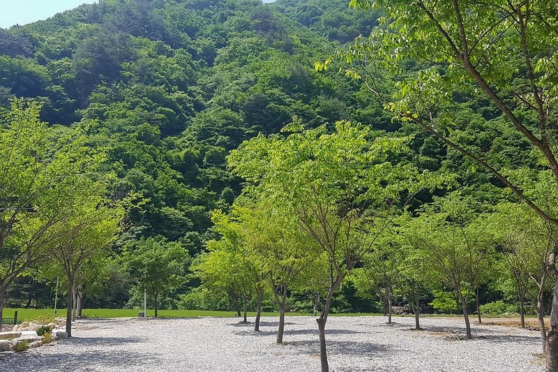 숲스토리야영장 시설 사진 3