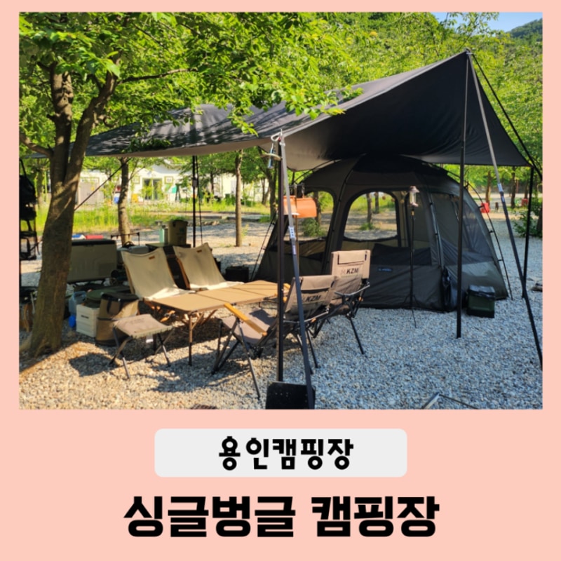 용인 싱글벙글캠핑장 벚꽃캠으로 유명한 곳(애견동반가능)